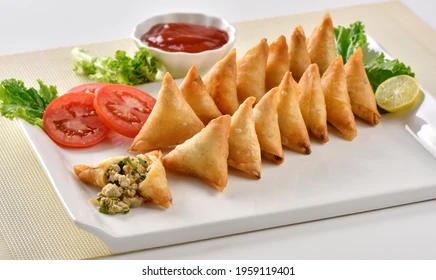samosa-special-popular-snack-260nw-1959119401